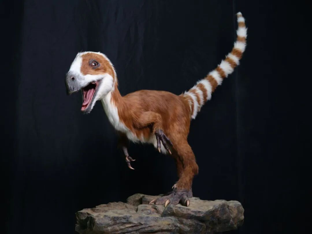 世界首例具身智能恐龍,開啟機器人娛樂化新賽道